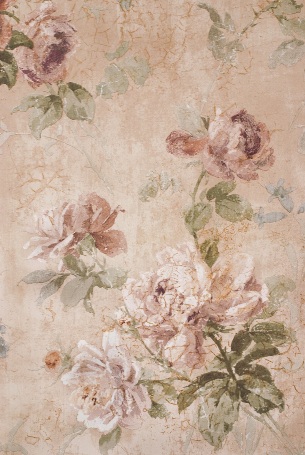 Vintage Background with Roses - Floral Illustration